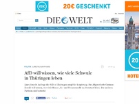 Bild zum Artikel: Landtagsanfrage: AfD will wissen, wie viele Schwule in Thüringen leben
