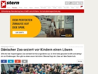 Bild zum Artikel: Aufregung in Odense: Dänischer Zoo sorgt mit öffentlicher Löwen-Sezierung für Empörung
