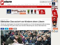 Bild zum Artikel: Aufregung in Odense: Dänischer Zoo seziert vor Kindern einen Löwen
