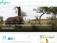 Bild zum Artikel: Deutscher Trophäenjäger tötet seltenen Elefanten