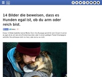 Bild zum Artikel: 14 Bilder die beweisen, dass es Hunden egal ist, ob du arm oder reich bist.