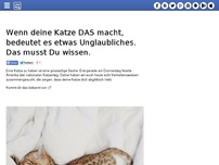 Bild zum Artikel: Wenn deine Katze DAS macht, bedeutet es etwas Unglaubliches. Das musst Du wissen.