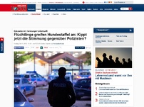 Bild zum Artikel: Eskalation in Hamburger Unterkunft - Flüchtlinge greifen Hundestaffel an: Kippt jetzt die Stimmung gegenüber Polizisten?