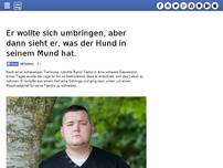 Bild zum Artikel: Er wollte sich umbringen, aber dann sieht er, was der Hund in seinem Mund hat.