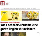 Bild zum Artikel: Falschmeldungen - Wie Gerüchte eine ganze Region verunsichern