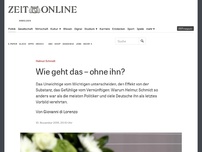 Bild zum Artikel: Helmut Schmidt: Wie geht das – ohne ihn?