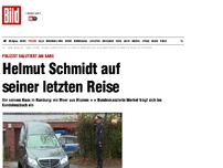 Bild zum Artikel: Polizist salutiert am Sarg - Helmut Schmidt auf seiner letzten Reise