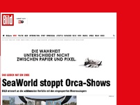 Bild zum Artikel: Das Leiden hat ein Ende - SeaWorld stoppt Orca-Shows