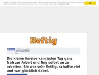 Bild zum Artikel: Die kleine Ameise kam jeden Tag ganz früh zur Arbeit und fing sofort an zu arbeiten. Sie war...