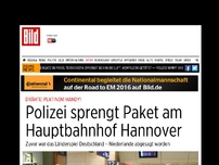 Bild zum Artikel: U19-Länderspiel - Das Bubi-Bündnis gegen den Terror