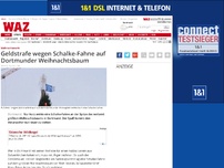 Bild zum Artikel: Geldstrafe wegen Schalke-Fahne auf Dortmunder Weihnachtsbaum