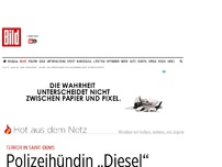 Bild zum Artikel: Terror in Saint-Denis - Polizeihündin „Diesel“ bei Einsatz getötet