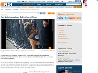 Bild zum Artikel: Tod bei Saint-Denis-Einsatz - 
Das Netz trauert um Polizeihund Diesel