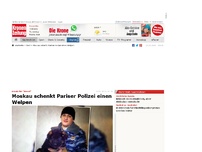 Bild zum Artikel: Moskau schenkt Pariser Polizei einen Welpen
