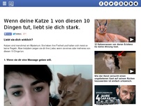 Bild zum Artikel: Wenn deine Katze 1 von diesen 10 Dingen tut, liebt sie dich stark.