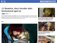 Bild zum Artikel: 13 Beweise, dass Hunden dein Kontostand egal ist.