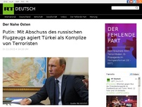 Bild zum Artikel: Putin: Mit Abschuss des russischen Flugzeugs agiert Türkei als Komplize von Terroristen