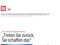 Bild zum Artikel: Petry verhöhnt Merkel - „Treten Sie zurück, Sie schaffen das”