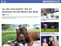 Bild zum Artikel: 'Ja, das sind meine!' Die 15 stolzesten Hunde-Mamis der Welt.