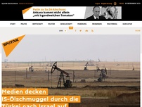 Bild zum Artikel: Medien decken IS-Ölschmuggel durch die Türkei nach Israel auf