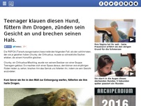 Bild zum Artikel: Teenager klauen diesen Hund, füttern ihm Drogen, zünden sein Gesicht an und brechen seinen Hals.