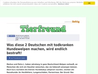 Bild zum Artikel: Was diese 2 Deutschen mit todkranken Hundewelpen machen, wird endlich bestraft!