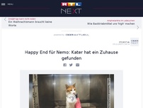 Bild zum Artikel: Happy End für Nemo: Kater hat ein Zuhause gefunden