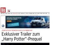 Bild zum Artikel: „Phantastische Tierwesen“ - Exklusiver Trailer zum „Harry Potter“-Prequel