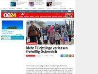 Bild zum Artikel: Mehr Flüchtlinge verlassen freiwillig Österreich