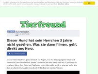 Bild zum Artikel: Dieser Hund hat sein Herrchen 3 Jahre nicht gesehen. Was sie dann filmen, geht direkt ans Herz.