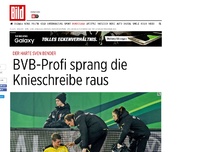 Bild zum Artikel: Der harte Bender - BVB-Profi sprang die Knieschreibe raus