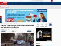 Bild zum Artikel: Tier steht im Landkreis Kassel auf der Straße - Langer Todeskampf - Polizist schießt 20 Mal auf ausgebüxten Bullen