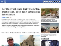 Bild zum Artikel: Der Jäger will einen Baby-Elefanten erschiessen, doch dann schlägt das Schicksal zu.