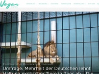 Bild zum Artikel: Umfrage: Mehrheit der Deutschen lehnt Haltung exotischer Tiere in Zoos ab – Die 4 wichtigsten Gründe