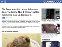 Bild zum Artikel: Die Frau adoptiert eine Katze aus dem Tierheim. Nur 1 Monat später macht sie das Undenkbare.