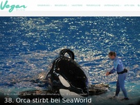 Bild zum Artikel: 38. Orca stirbt bei SeaWorld