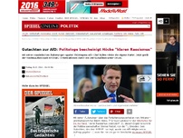 Bild zum Artikel: Gutachten zur AfD: Politologe bescheinigt Höcke 'klaren Rassismus'