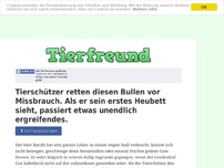 Bild zum Artikel: Tierfreund