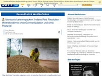 Bild zum Artikel: Monsanto kann einpacken: Indiens Reis Revolution - Weltrekordernte ohne Genmanipulation und ohne Pestizide