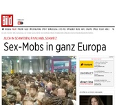 Bild zum Artikel: Finnland und Schweiz - Sex-Mobs in ganz Europa unterwegs