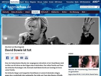 Bild zum Artikel: David Bowie ist tot