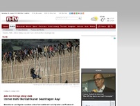 Bild zum Artikel: Zahl der Anträge steigt stark: Immer mehr Nordafrikaner beantragen Asyl