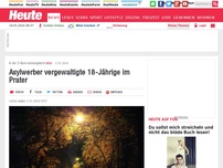 Bild zum Artikel: Security kam zu Hilfe: Asylwerber vergewaltigte 18-Jährige im Prater