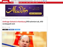 Bild zum Artikel: SPD schmiert ab, AfD verdoppelt sich
