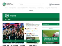 Bild zum Artikel: DFB gratuliert Handballern zu EM-Titel