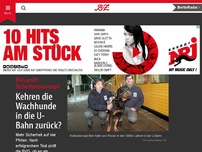 Bild zum Artikel: Kehren die Wachhunde in die U-Bahn zurück?