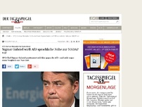 Bild zum Artikel: Sigmar Gabriel wirft AfD sprachliche Nähe zur NSDAP vor