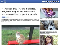 Bild zum Artikel: Menschen trauern um die Katze, die jeden Tag an der Haltestelle wartete und brutal getötet wurde.