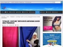 Bild zum Artikel: Testballon? „Flüchtlinge“ dürfen vor der Landtagswahl Sachsen-Anhalt probewählen