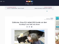 Bild zum Artikel: Südkorea: Oma (61) rettet 200 Hunde vor dem Kochtopf und lebt mit ihnen